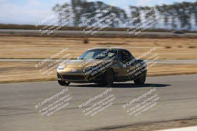 media/Nov-16-2024-CalClub SCCA (Sat) [[641f3b2761]]/Group 6/Grid and Front Straight/